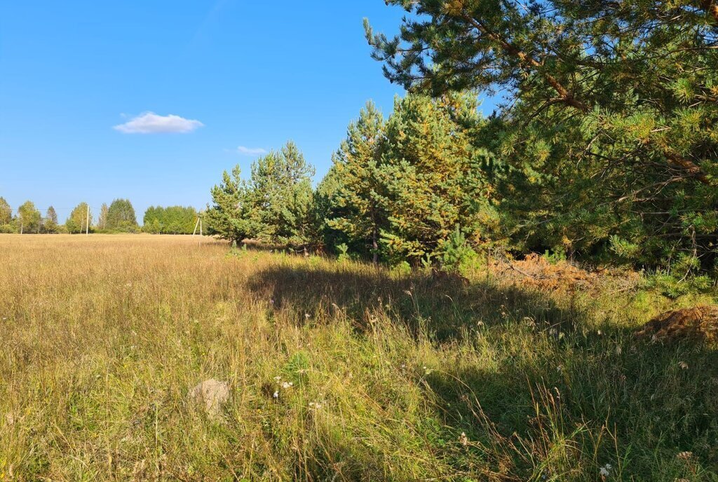 земля р-н Нижнетавдинский д Московка ул Кучерова 8 КП Чехов фото 5