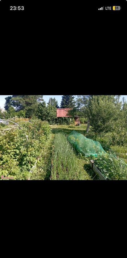 земля г Екатеринбург п Полеводство Полевской тракт, 15 км, муниципальное образование, СНТ Ромашка фото 1