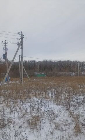 метро Ломоносовская снт тер.Красный Октябрь фото