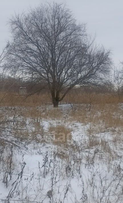 земля г Санкт-Петербург метро Ломоносовская снт тер.Красный Октябрь фото 3