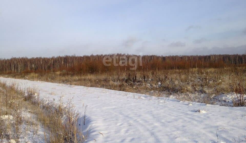 земля р-н Стерлитамакский д Муравей ул Нагорная фото 3