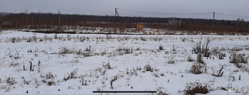 земля р-н Богородский д Крутец (Доскинский сельсовет) фото 2