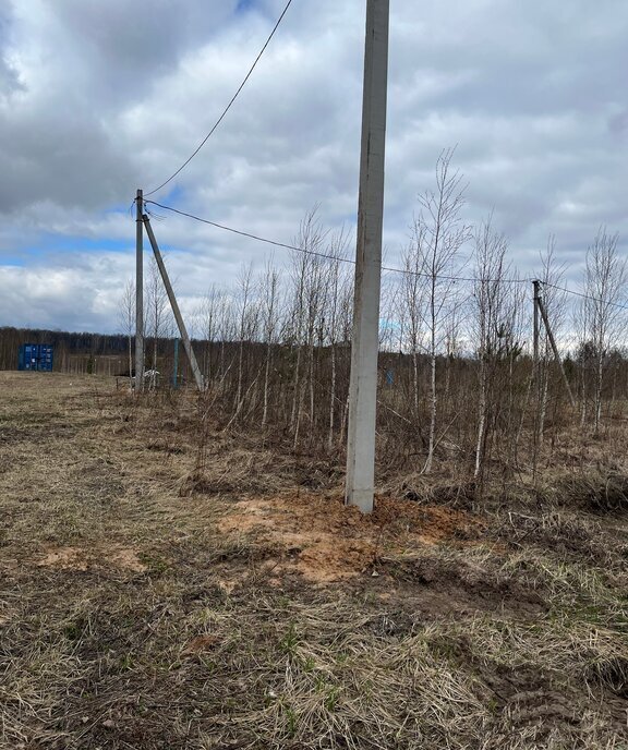 земля р-н Богородский д Крутец (Доскинский сельсовет) фото 4