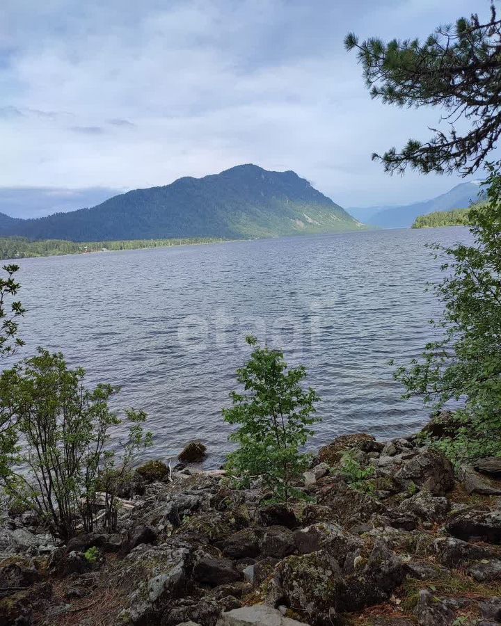 земля р-н Турочакский с Артыбаш Турочак фото 3