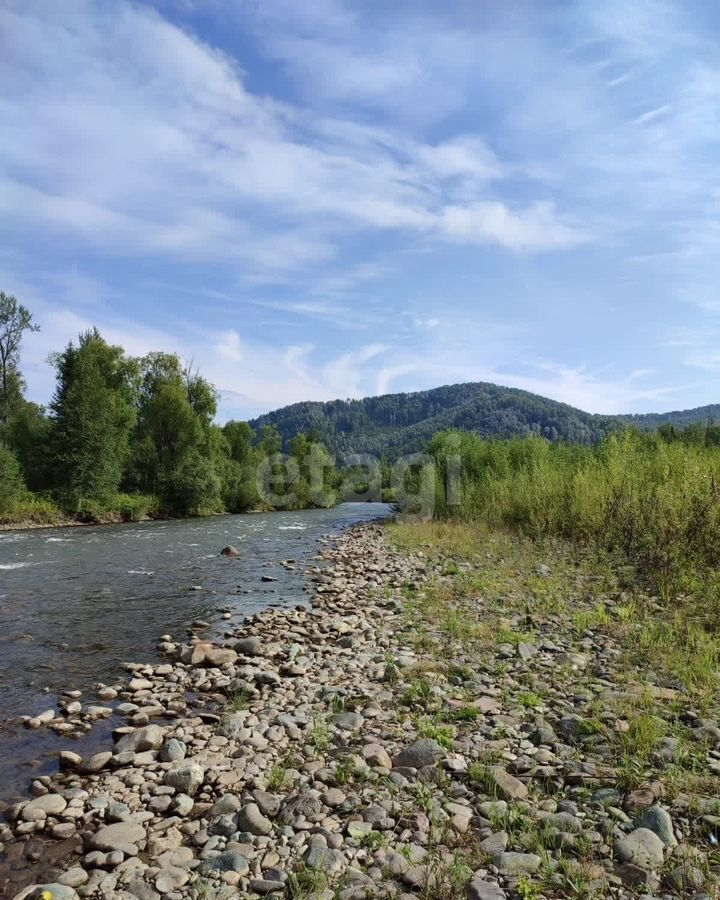 земля р-н Турочакский с Артыбаш Турочак фото 2