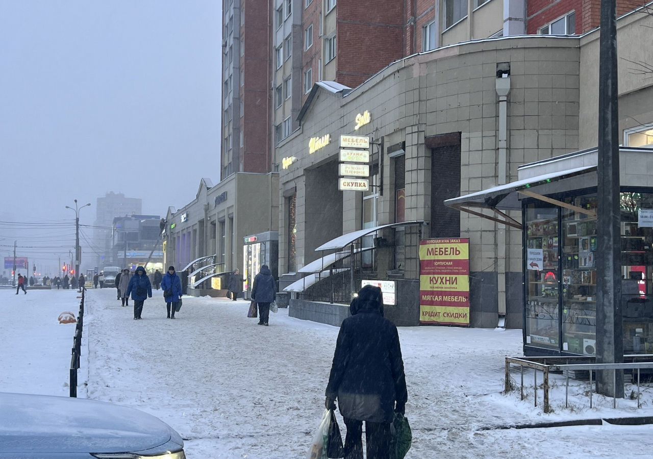 торговое помещение г Санкт-Петербург метро Проспект Просвещения пр-кт Просвещения 34 фото 8