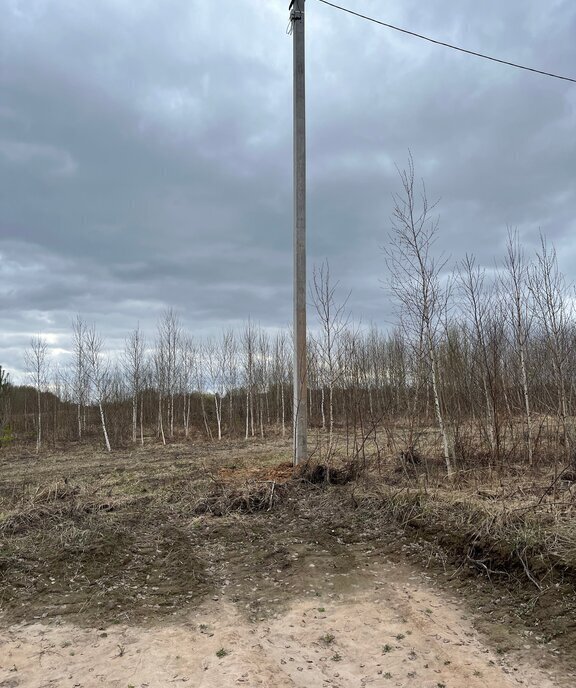 земля р-н Богородский д Крутец (Доскинский сельсовет) фото 5