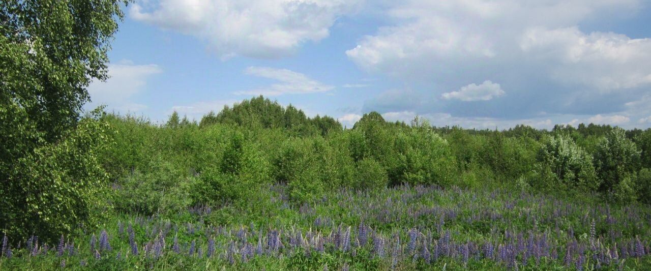 земля р-н Городецкий д Петухово (Федуринский с/с) фото 12