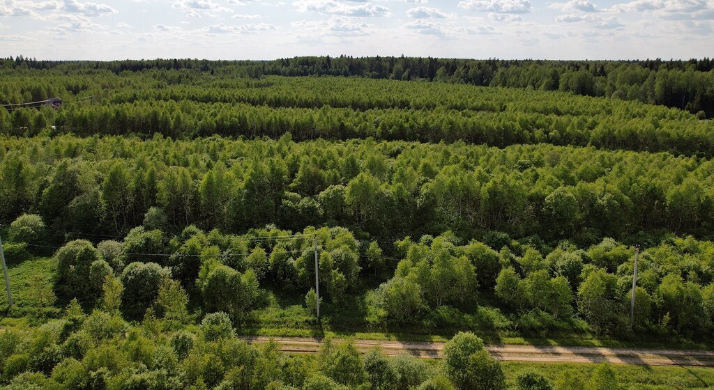 земля городской округ Можайский коттеджный посёлок Лесные Просторы фото 13