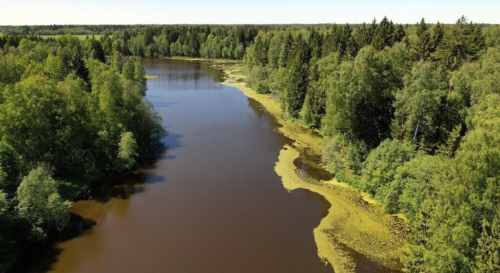 земля городской округ Волоколамский территориальный отдел Спасский фото 6