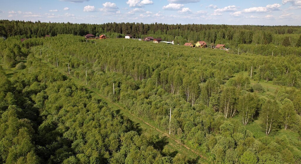 земля городской округ Можайский коттеджный посёлок Лесные Просторы фото 3