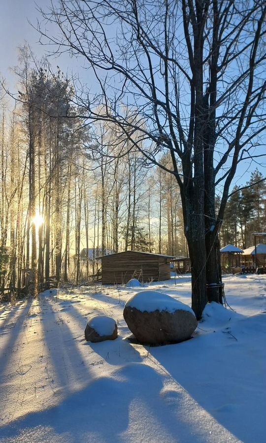 дом р-н Кирилловский г Кириллов д. Шиляково Суховерховский сельсовет, Сосновый пер фото 9