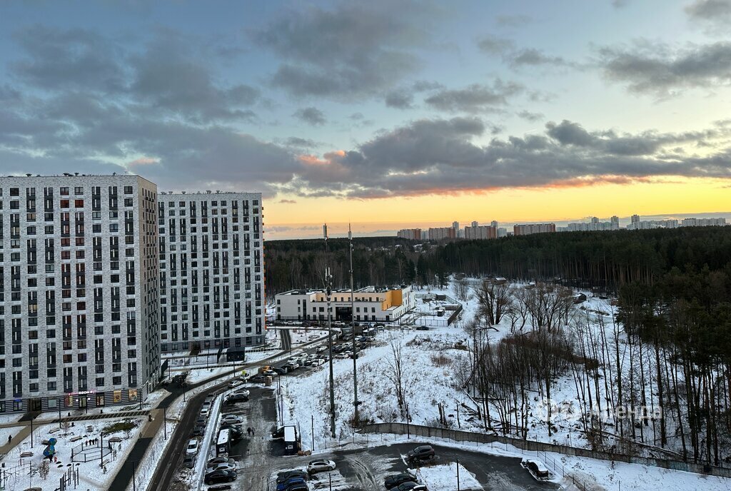 квартира городской округ Ленинский рп Дрожжино ул Южная 21 Бутово фото 20