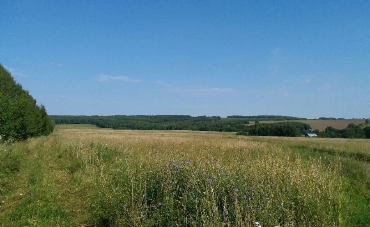 земля р-н Богородский д Шумилово жилой квартал Видное, Буревестник фото 3