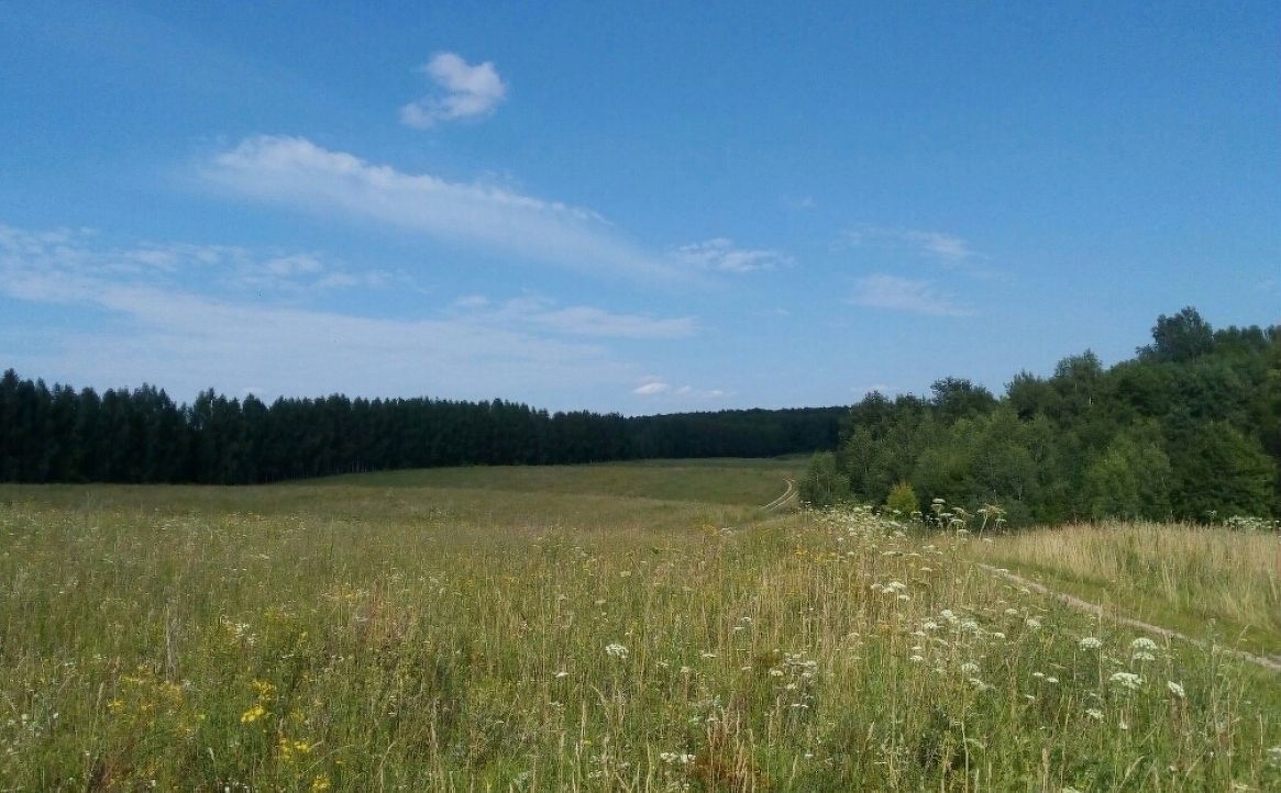 земля р-н Богородский д Шумилово жилой квартал Видное, Буревестник фото 7