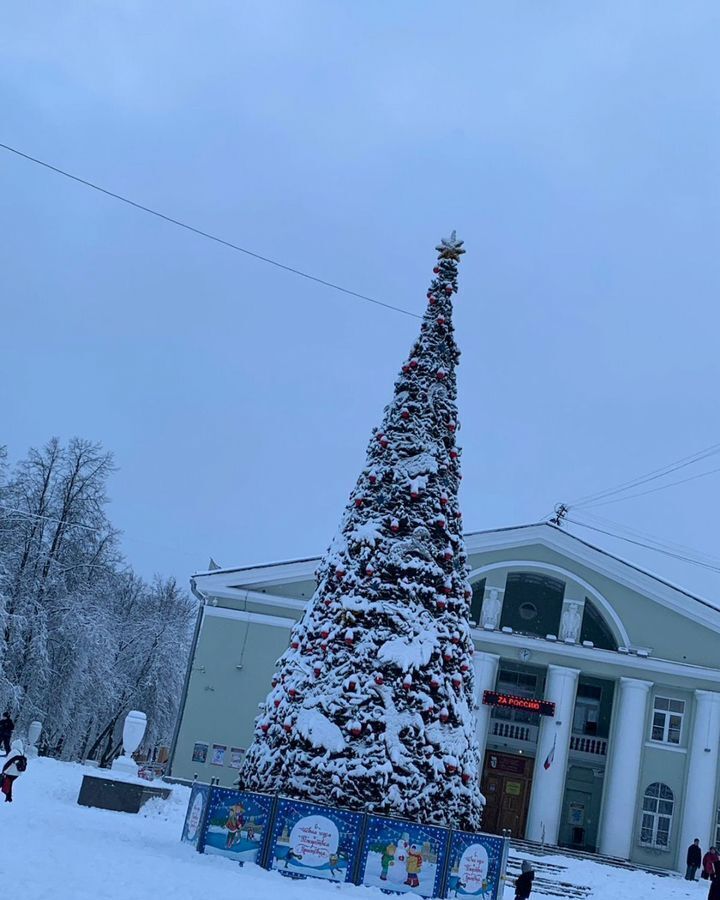 квартира г Санкт-Петербург п Металлострой ул Пионерская 2 метро Рыбацкое р-н Колпинский фото 28