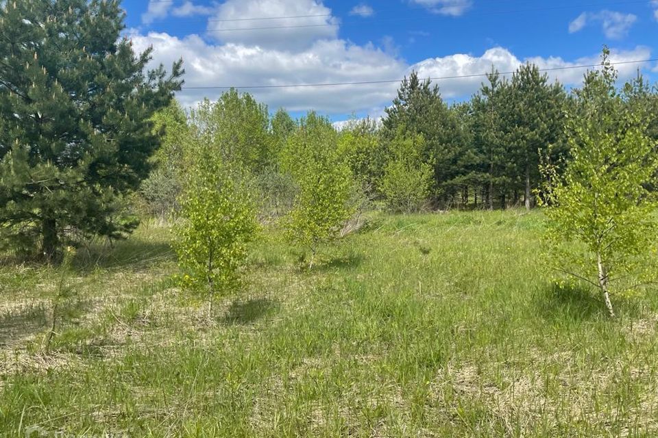 земля г Раменское Северный район, Раменский городской округ фото 1