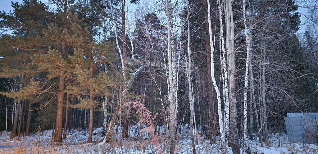 земля р-н Нижнетавдинский с Тюнево ул Южная 5 фото 2