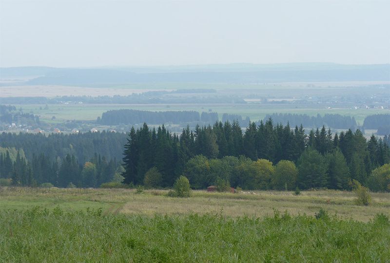 земля р-н Пермский п Протасы Култаево фото 5