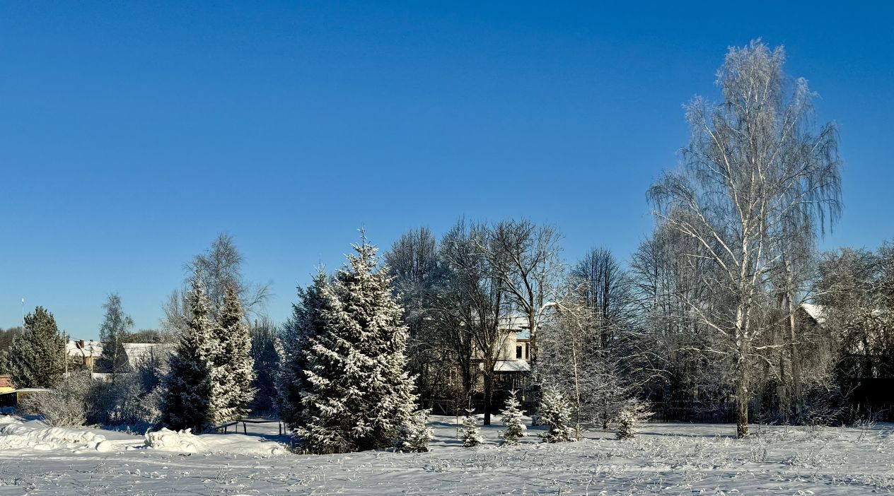 земля городской округ Мытищи д Крюково Хлебниково, 39А фото 3