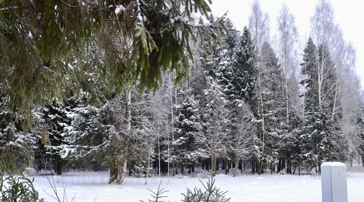 земля городской округ Мытищи д Крюково Хлебниково, 39А фото 5