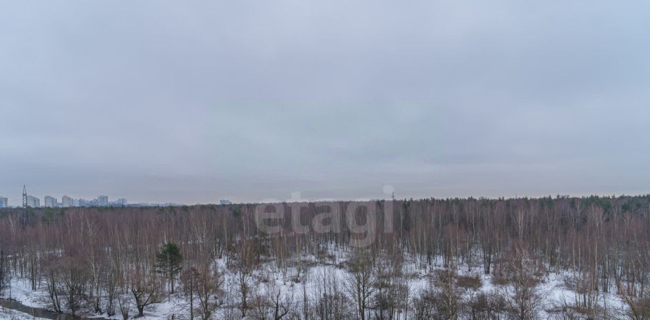 квартира г Санкт-Петербург метро Проспект Просвещения наб Реки Каменки 15к/1 фото 13