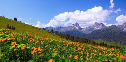 земля р-н Алтайский с Белый Яр ул Магистральная фото 1