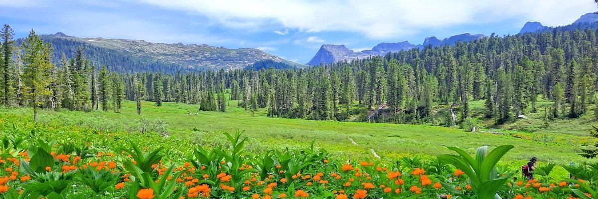 земля р-н Алтайский с Белый Яр ул Магистральная фото 2