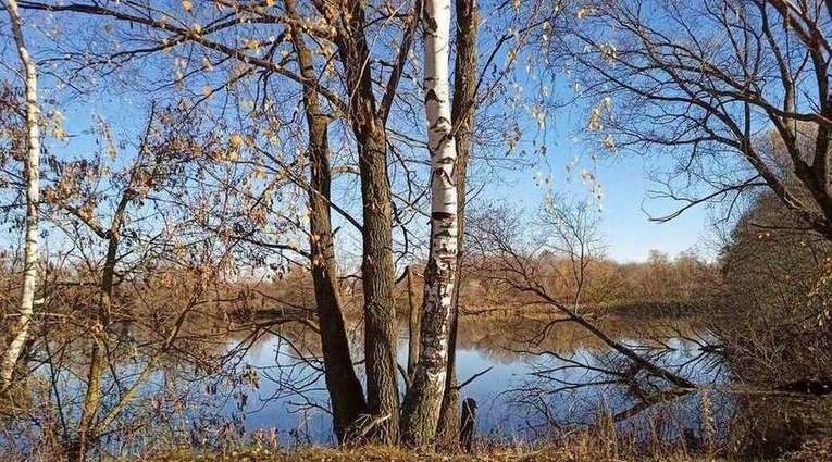 квартира р-н Кораблинский д Залесно-Чулково ул Ленинская фото 7