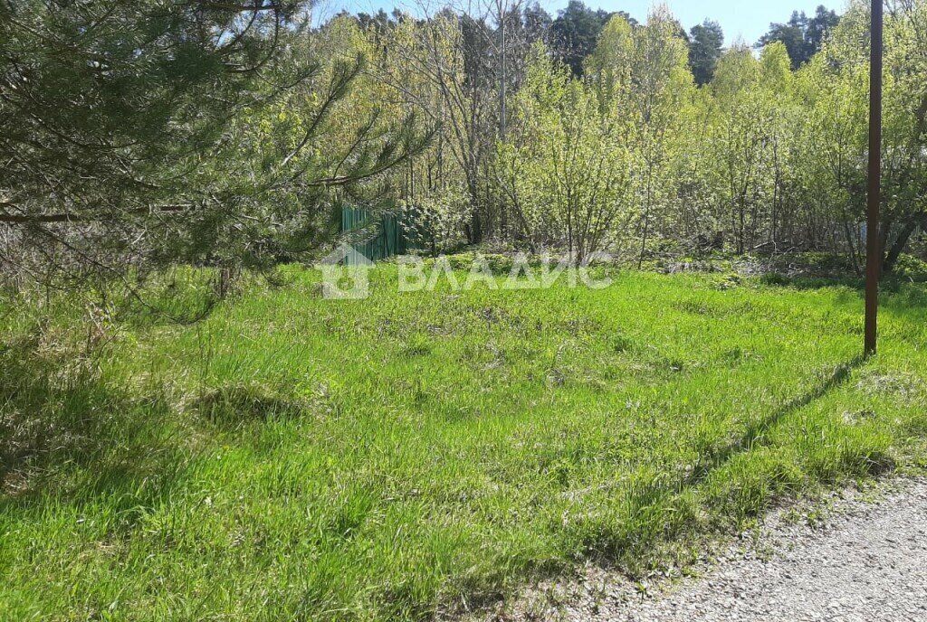 земля городской округ Пушкинский г Красноармейск снт Лесные Поляны-1 набережная имени Всеволода Руднева фото 5