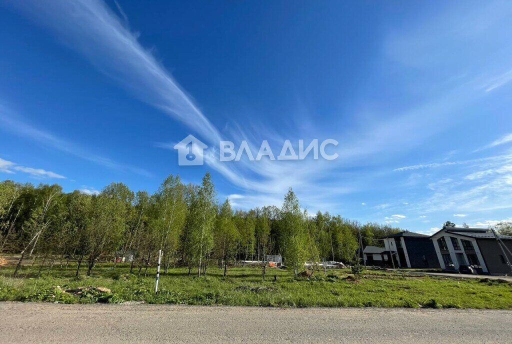 земля городской округ Пушкинский территория Автодорога Левково-Грибово, 115А фото 5