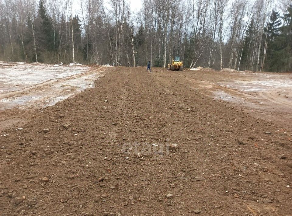 земля г Краснознаменск снт Кедр 185, Дмитровский городской округ фото 3