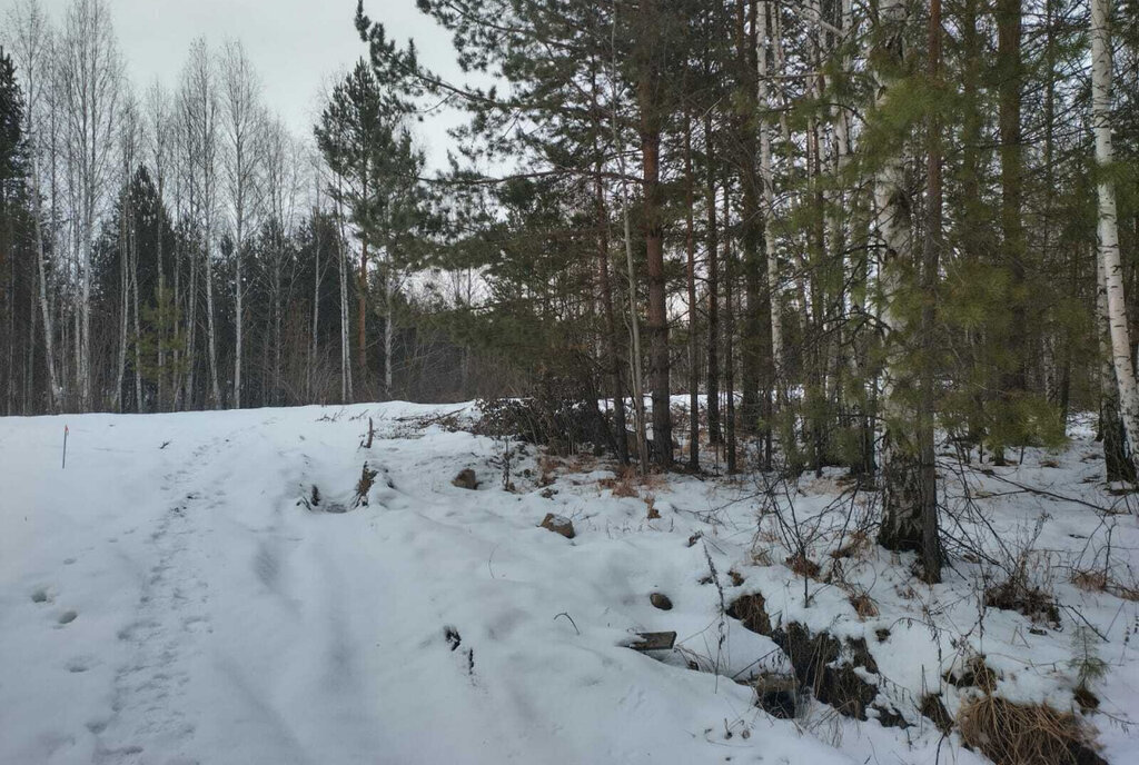 земля р-н Белоярский п Гагарский ул 3-я Парковая 31 загородный комплекс Лайф фото 8