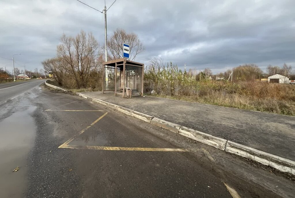 земля городской округ Коломенский с Чанки ул Осенняя фото 9