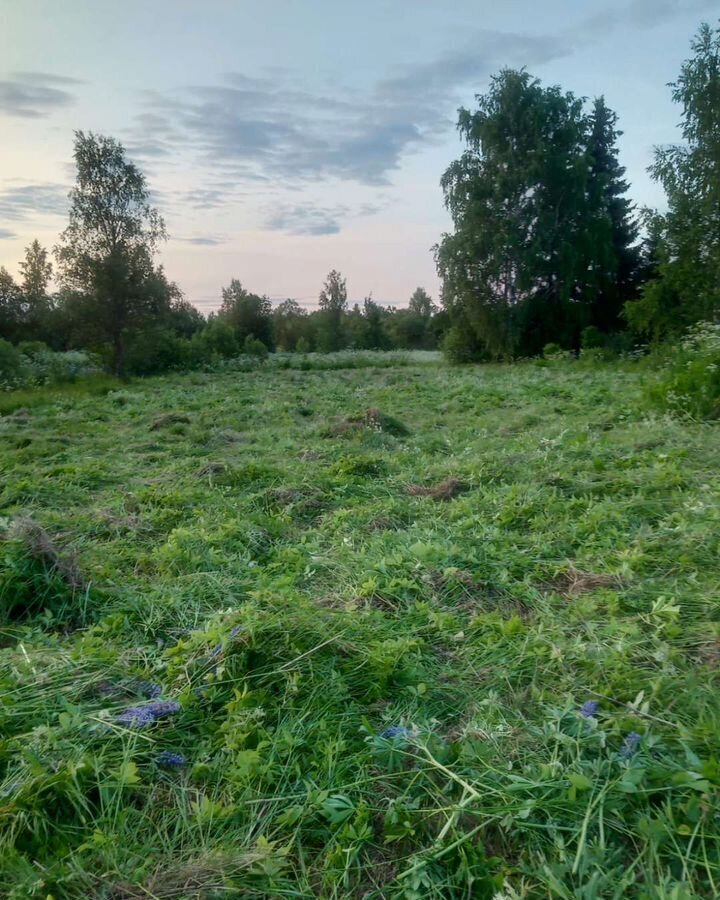 земля р-н Рамешковский с/п Ведное с Ведное ул Октябрьская Рамешки фото 11