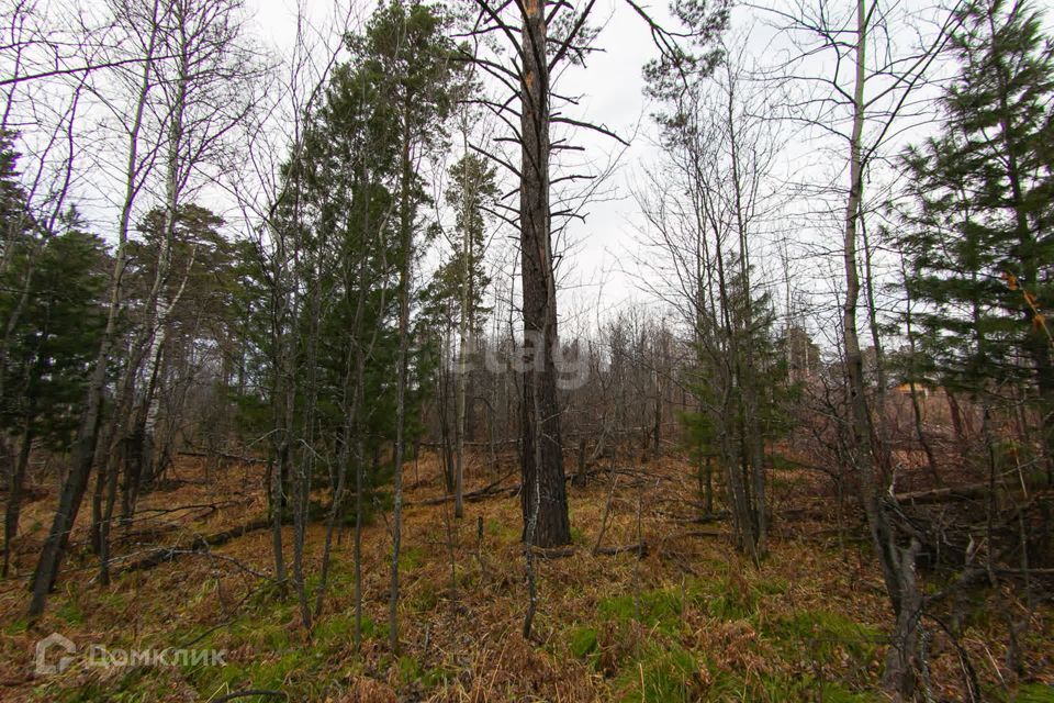 земля р-н Томский п Синий Утёс ул Парковая фото 4