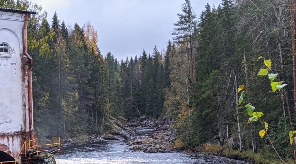 дом р-н Питкярантский п Харлу ш. Главное, 3 фото 14