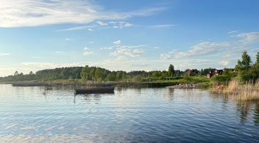 дом р-н Питкярантский д острова Лункулансаари 40А фото 15