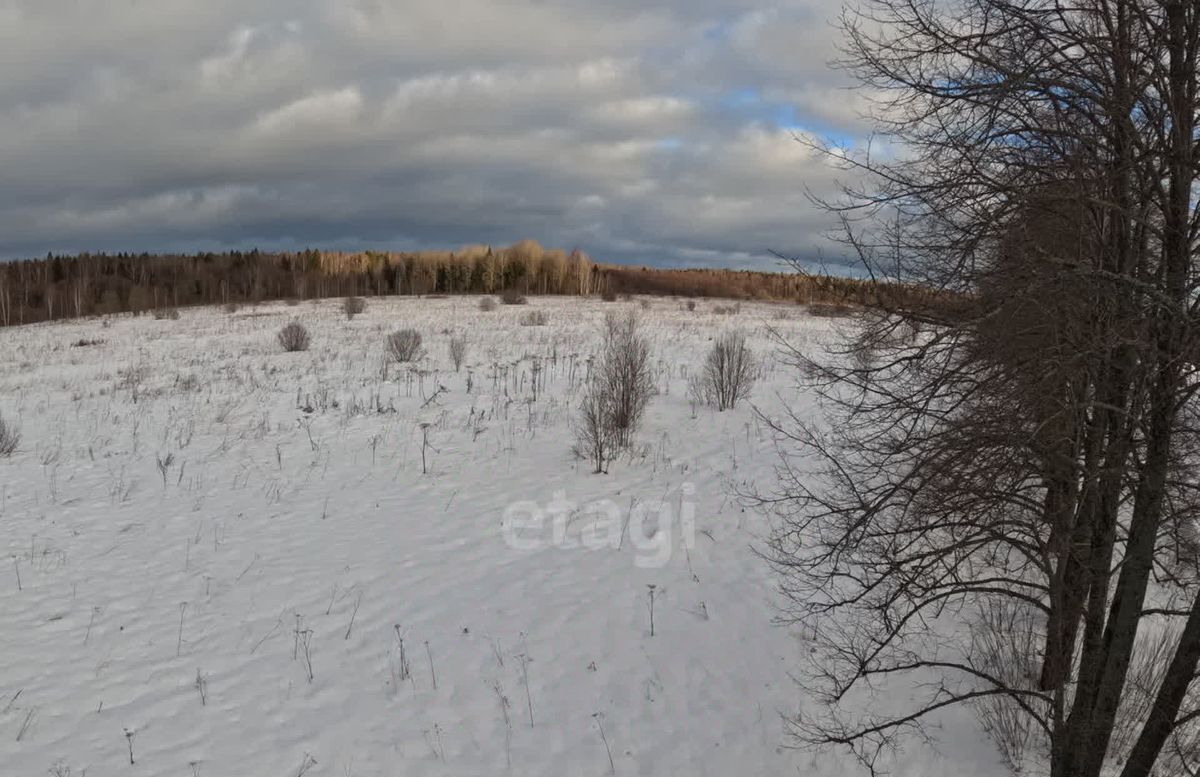 земля городской округ Дмитровский д Микляево фото 4