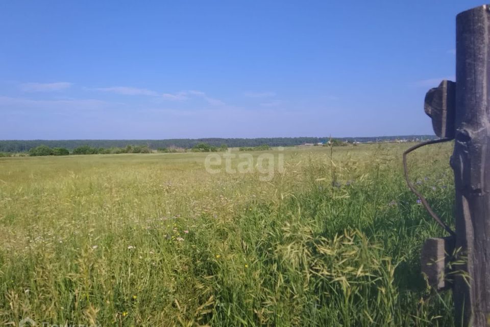 земля р-н Иркутский Галки фото 3