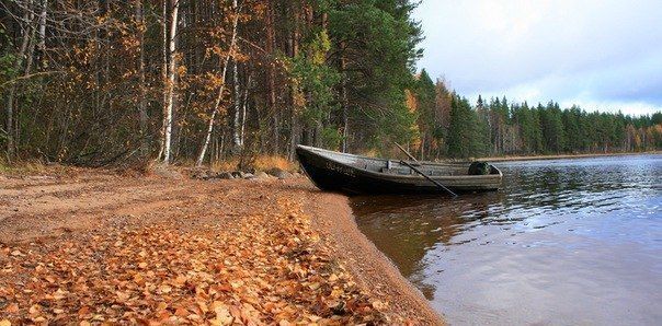 дом р-н Суоярвский п Лоймола ш Суоярвское фото 5