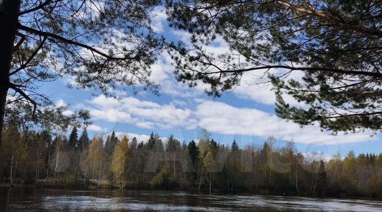 дом р-н Пряжинский д Нижние Виданы Чалнинское с/пос, тер., ул. Береговая, 5, Шуйская Слобода фото 34