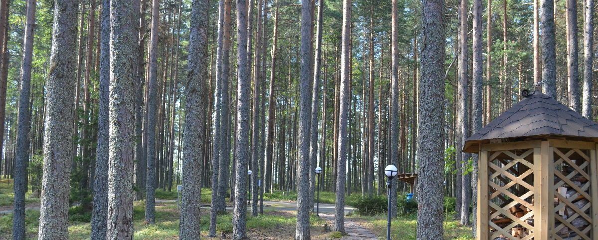 дом р-н Пряжинский д Алекка Эссойльское с/пос фото 41