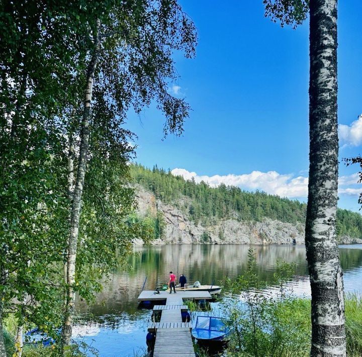 дом р-н Лахденпохский п Микли Мийнальское с/пос, 2202 кв-л фото 10