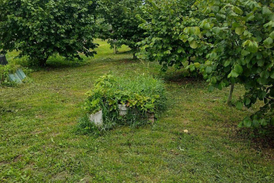 дом городской округ Бор, 23, деревня Петрово фото 7