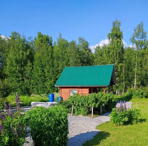 дом Медвежьегорское городское поселение, Пергуба-порт тер., ул. Лесная фото 6