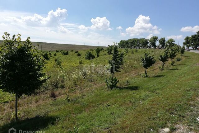 муниципальное образование Новороссийск, станица Раевская фото