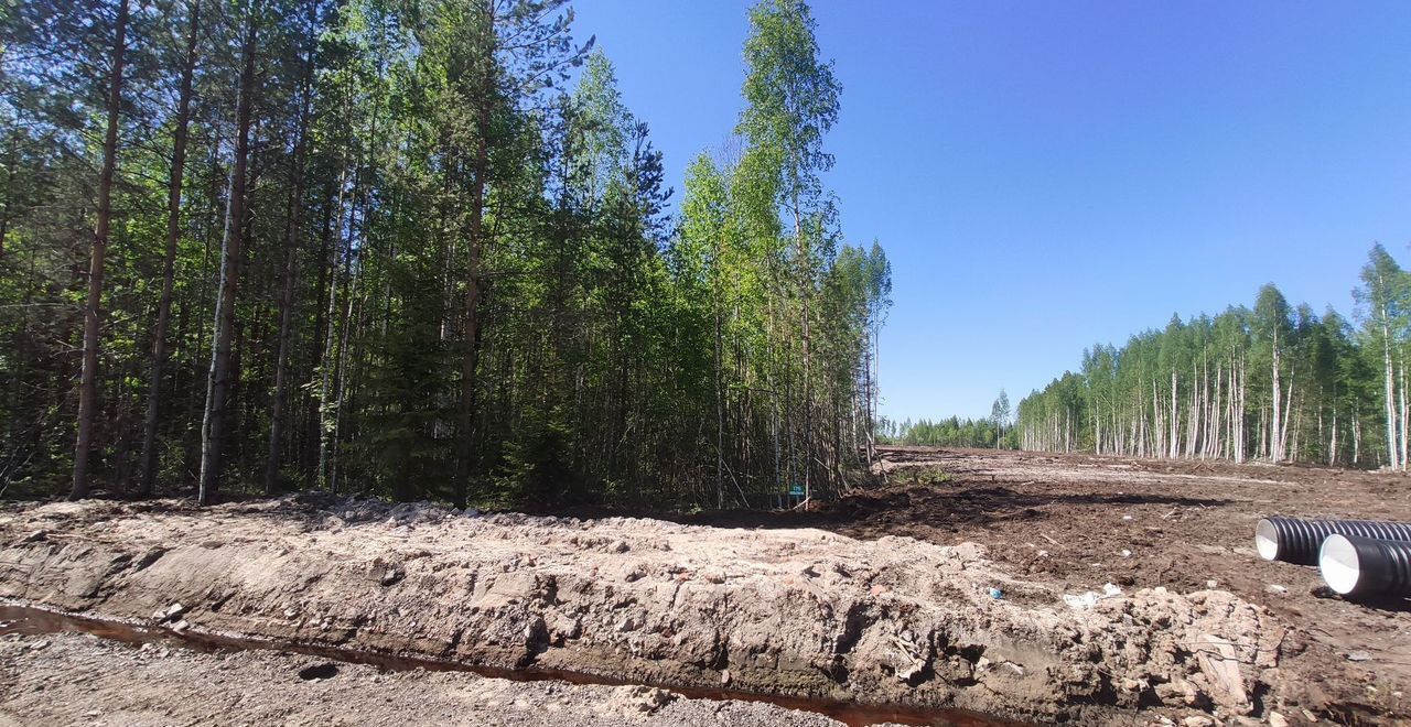 земля р-н Всеволожский г Всеволожск Дорога жизни, 12 км, Всеволожское городское поселение, коттеджный пос. Щеглово Сити, 174 фото 2