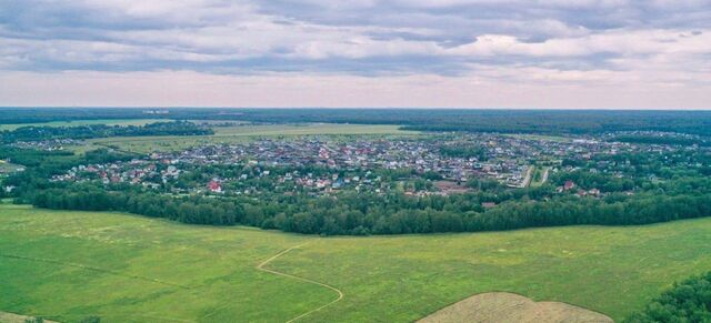 Черешневый лес кп фото