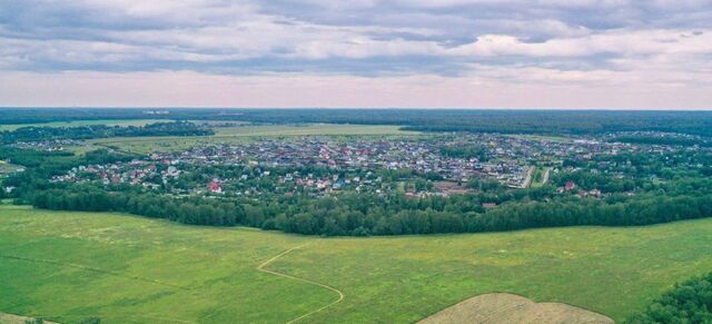 Черешневый лес кп фото